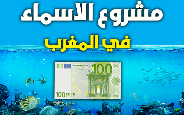 مشروع مربح في المغرب  مشروع تربية الأسماك